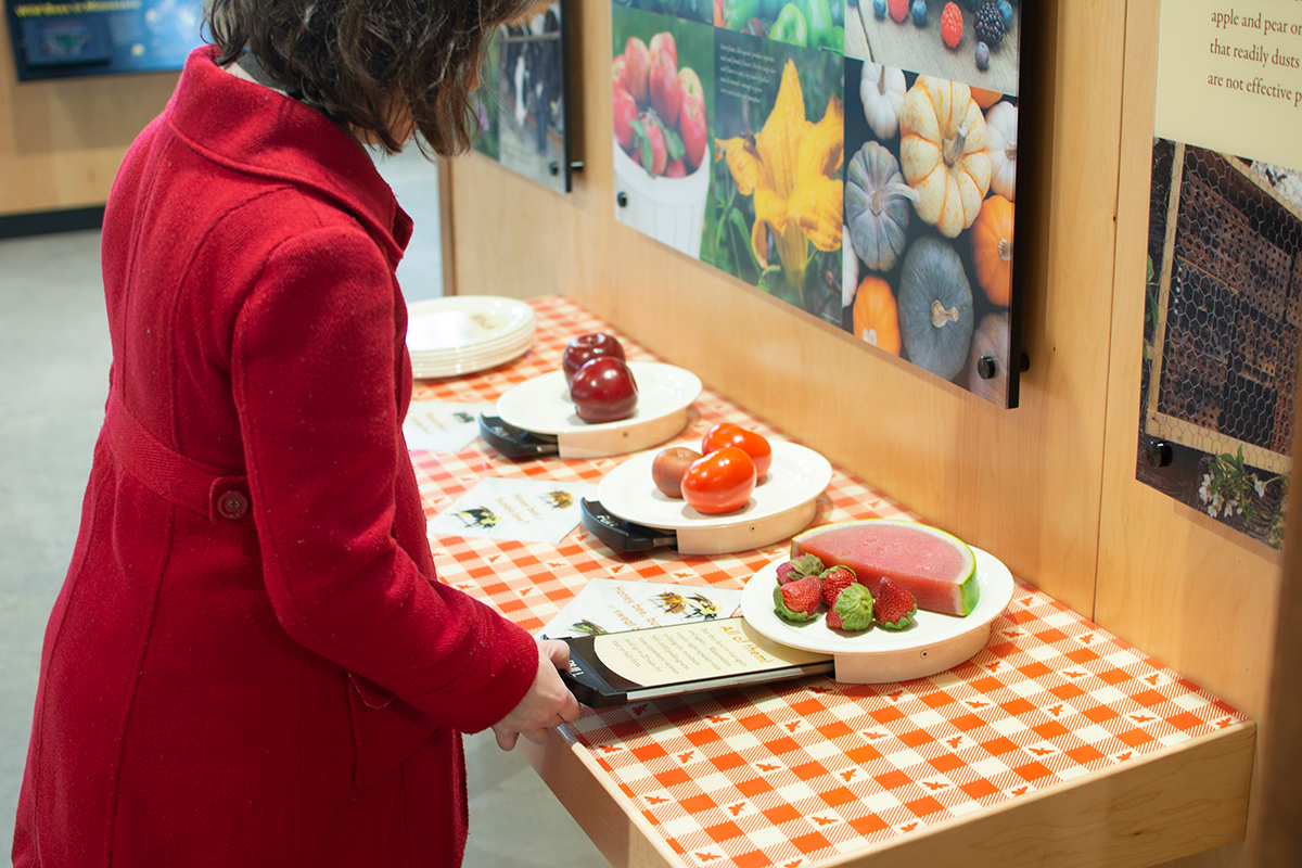 exhibit about bees and our food